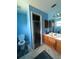 Bathroom featuring a wood vanity, a glass-enclosed shower, and blue painted walls at 34008 S Haines Creek Rd, Leesburg, FL 34788