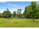 Lush backyard with green lawn, framed by a black fence and mature trees, offering a serene view at 363 Miro Dr, Davenport, FL 33837