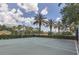 Outdoor basketball court surrounded by lush greenery and palm trees at 1125 Lake Shadow Cir # 5109, Maitland, FL 32751