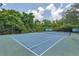 Outdoor tennis court surrounded by lush greenery at 1125 Lake Shadow Cir # 5109, Maitland, FL 32751