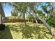 Expansive backyard features mature trees that provide natural shade, perfect for relaxation or outdoor activities at 11540 Harbor Rd, Leesburg, FL 34788