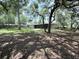 Backyard featuring mature trees and lawn at 1326 Wildcat Ct, Apopka, FL 32712
