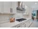 Close up of kitchen with stainless steel range hood, modern cabinetry, and quartz countertops at 14189 Larkspur Lake Dr, Winter Garden, FL 34787