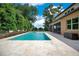 Inviting backyard pool features a tanning ledge and lush landscaping, next to the covered patio at 1938 Filly Trl, Oviedo, FL 32765