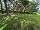Beautiful treed backyard with a brick wall, providing a secure and private outdoor space at 2020 Rushden Dr, Ocoee, FL 34761