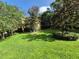 Spacious backyard with lush green lawn and mature trees surrounding the home at 2020 Rushden Dr, Ocoee, FL 34761