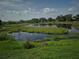 Scenic view of a serene pond with lush greenery and trees at 2020 Rushden Dr, Ocoee, FL 34761