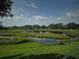 Scenic view of a pond surrounded by lush greenery and trees, reflecting the cloudy sky at 2020 Rushden Dr, Ocoee, FL 34761
