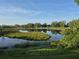 Scenic view of the pond surrounded by lush green vegetation and trees under a blue sky at 2020 Rushden Dr, Ocoee, FL 34761