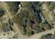 Aerial view of an overgrown lot surrounded by trees, with a red boundary line marking the property at 578 3Rd St, Daytona Beach, FL 32117