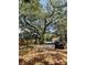 Expansive backyard with a large oak tree providing ample shade, and an inviting pool area at 578 3Rd St, Daytona Beach, FL 32117
