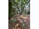 Shaded backyard with trees and plenty of space at 578 3Rd St, Daytona Beach, FL 32117