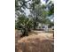 View of the house and expansive backyard featuring mature trees and tropical landscaping at 578 3Rd St, Daytona Beach, FL 32117