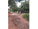 View of backyard shows backyard debris, mature trees, a trash receptacle and room for outdoor activities and relaxation at 578 3Rd St, Daytona Beach, FL 32117