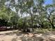 Expansive backyard with mature trees, storage, tropical vegetation and an old vehicle for a rustic touch at 578 3Rd St, Daytona Beach, FL 32117