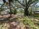 View of land with mature trees providing ample shade and natural beauty at 578 3Rd St, Daytona Beach, FL 32117
