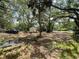 Spacious lot with lush greenery and mature trees, featuring a storage shed and vehicle at 578 3Rd St, Daytona Beach, FL 32117