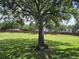 Expansive backyard features healthy grass and a mature shade tree at 13546 Summerton Dr, Orlando, FL 32824