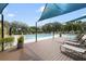 Community pool with lounge chairs and shade sails at 13850 Amelia Pond Dr, Windermere, FL 34786