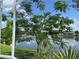 Lush backyard view with a serene lake, captured through the screen enclosure, blending nature and relaxation at 2421 Queenswood Cir, Kissimmee, FL 34743