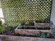 Landscaped backyard with tiered brick planters with mature cactus and succulent plants at 2648 Amsden Rd, Winter Park, FL 32792