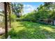 Large, grassy backyard featuring mature trees, lush greenery, and plenty of room at 2915 Dean Ridge Rd, Orlando, FL 32825
