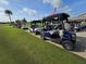 Golf carts parked on a grassy area, ready for golfers, with an American flag in the background at 3030 Clubview Dr # Ge, Orlando, FL 32822