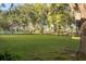 Expansive green backyard with mature trees and partial fencing at 6047 Blakeford Dr, Windermere, FL 34786