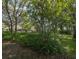Lush front yard featuring mature trees and landscaping, offering privacy and curb appeal at 636 Cheviot Ct, Apopka, FL 32712