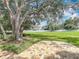 Mature tree shading brick patio and backyard with manicured lawn at 748 Andover Cir, Winter Springs, FL 32708
