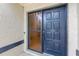 Close-up of the home's dark blue front door with a sidelight at 8308 Granada Blvd, Orlando, FL 32836