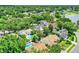 A high altitude aerial view of the neighborhood showing mature tree coverage at 991 Hawthorne Cove Ct, Ocoee, FL 34761