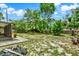 Large backyard with mature trees, a lawn, and a screened porch for outdoor enjoyment at 1000 Sal St, Ocoee, FL 34761