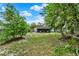 Beautiful view of the backyard featuring lush greenery and natural landscaping at 1000 Sal St, Ocoee, FL 34761