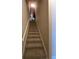 Carpeted staircase leading to the upper level of the home at 1637 Mistflower Ln, Winter Garden, FL 34787