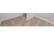 Neutral-toned carpet is seen in this close up view, which has a simple pattern and appears to be stain-resistant at 3240 Canna Lily Pl, Clermont, FL 34711