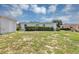 Backyard showing a white detached shed and a large grassy area at 603 Carver Dr, Lake Wales, FL 33853