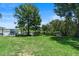 Expansive backyard with lush green grass and mature trees extending to the waterfront at 65 Oakdale St, Windermere, FL 34786