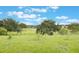 Lush green backyard with mature trees and a black metal fence, providing privacy and a serene setting at 31961 Redtail Reserve Blvd, Sorrento, FL 32776