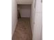 Walk-in closet with carpet flooring at 5327 Bamboo Ct # 426, Orlando, FL 32811