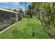 Landscaped backyard with lush lawn, screened-in porch, and a variety of trees and shrubs at 543 Silver Crse, Ocala, FL 34472