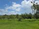Expansive backyard featuring a lush green lawn, mature trees, and tranquil views of the surrounding landscape at 15900 Citrus Knoll Dr, Winter Garden, FL 34787