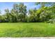 Lush backyard featuring greenery and a well-maintained lawn at 4006 Kasper Dr, Orlando, FL 32806