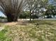 A spacious back yard with a white perimeter fence, mature trees, and patchy grass at 4732 Luce Rd, Lakeland, FL 33813