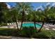 Community pool surrounded by palm trees, lounge chairs, and lush landscaping at 6214 Stevenson Dr # 208, Orlando, FL 32835