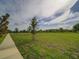 Expansive green park area with trees and walking path offers a serene recreational space at 7462 Bentonshire Ave, Windermere, FL 34786