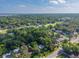 Lush aerial shot showing houses surrounded by mature green tree canopy at 815 E 11Th Ave, Mount Dora, FL 32757