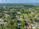 Aerial view shows a residential community surrounded by mature trees and greenery at 815 E 11Th Ave, Mount Dora, FL 32757