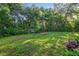 Large grassy backyard with mature trees and landscaping at 815 E 11Th Ave, Mount Dora, FL 32757