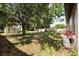 Spacious backyard with lush green grass and mature trees with a shed on the side at 303 Mariana Way, Kissimmee, FL 34758